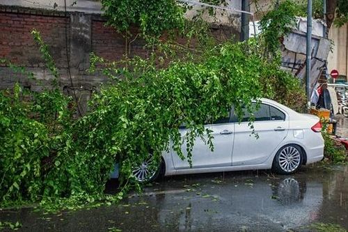 Đường phố Hà Nội ngổn ngang sau cơn mưa dông chiều thứ bảy