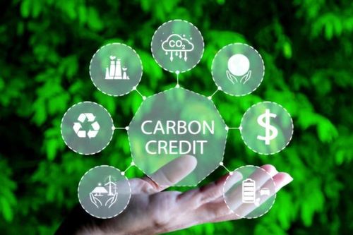 Hoàn thiện thị trường carbon thúc đẩy chuyển đổi xanh