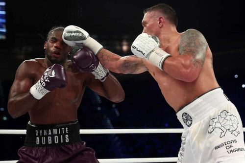 Usyk và Dubois sẵn sàng cho trận tranh 4 đai hạng nặng