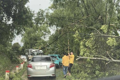 Mưa đá, giông lốc nhiều nơi, gây thiệt hại tài sản, hoa màu của người dân