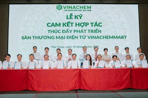 Vinachem: 6 tháng đầu năm tăng trưởng vượt mục tiêu 8%