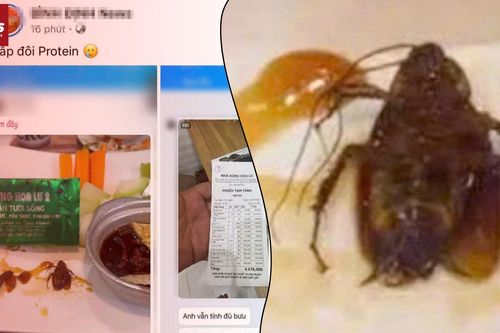 Hết giòi đến gián: Bữa ăn kinh hoàng của nhiều người