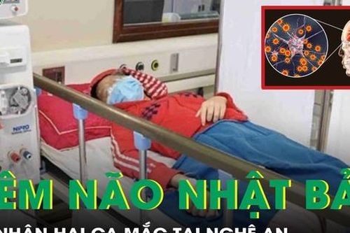 Ghi nhận 2 trường hợp mắc viêm não Nhật Bản tại Nghệ An
