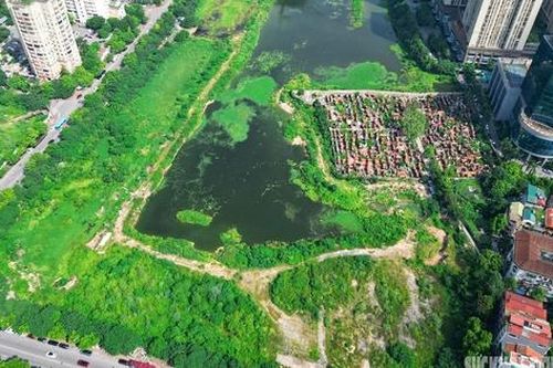 15 năm ì ạch, công viên hồ điều hòa thành bãi cỏ hoang