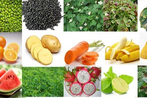 Những thực phẩm nên hạn chế vào mùa hè