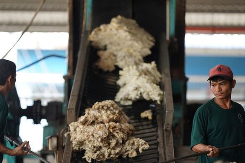 Hành trình vươn xa của cây cao su ViệtBài cuối: Những sáng kiến 'Made in Việt Nam'
