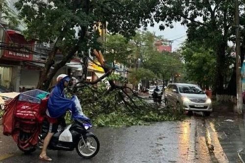 Hải Phòng: Giảm thiểu nguy cơ xảy ra sự cố môi trường trong mùa mưa bão