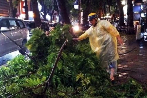 Hà Nội thu dọn hơn 940 cây xanh gãy đổ, bảo đảm giao thông thông suốt