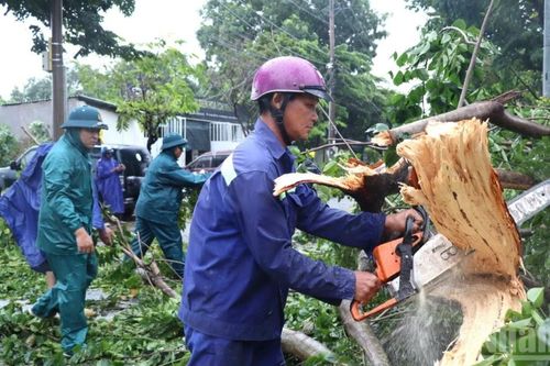 Đồng Nai: Mưa lớn kèm gió giật mạnh gây thiệt hại nhiều nơi