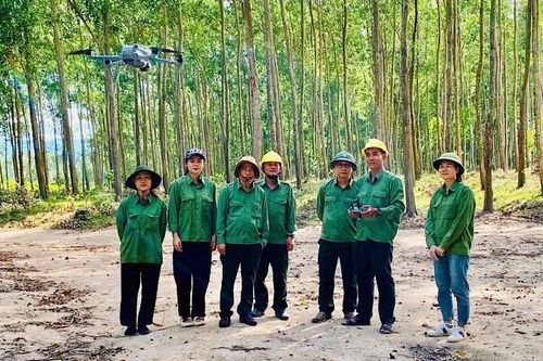 Quản lý rừng bền vững và chứng chỉ rừng