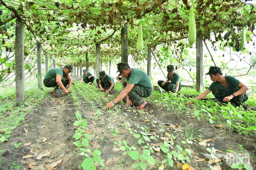 Phát huy nội lực, nâng cao chất lượng các mặt bảo đảm hậu cần