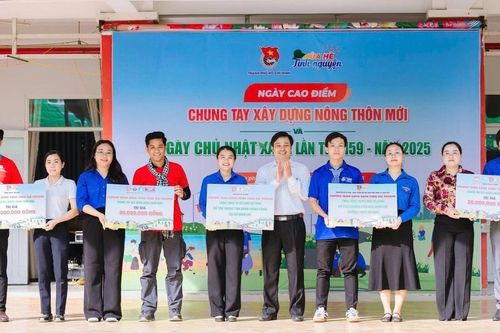 Sôi nổi Ngày hoạt động cao điểm 'Tình nguyện chung tay xây dựng nông thôn mới'