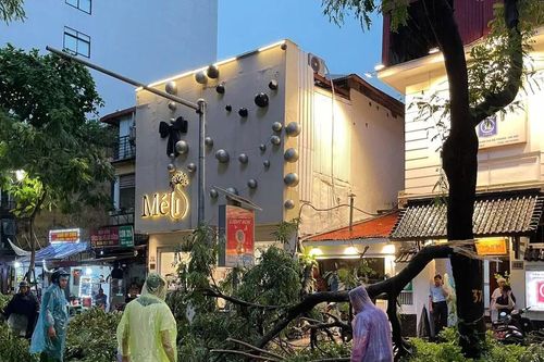 Hà Nội: Gần 1.000 cây xanh bị gãy, đổ sau trận dông lốc lớn