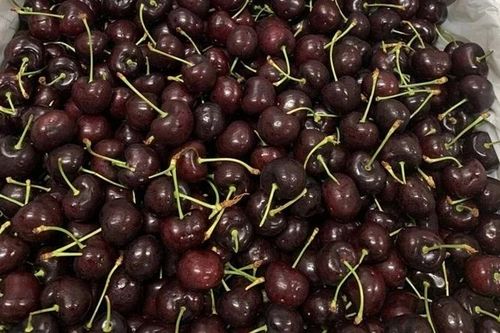Cherry Mỹ đổ bộ thị trường Việt, giá rẻ kỷ lục