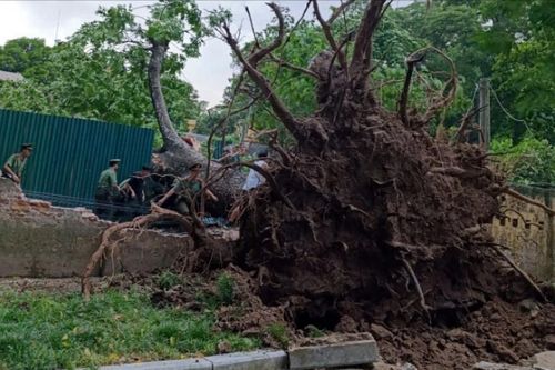 Mưa dông lốc mạnh ở miền Bắc ngày 19/7 là hiện tượng dông nhiệt hiếm gặp, cực kỳ nguy hiểm, không thể dự báo sớm