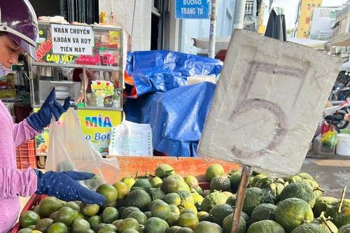 Trái cây 'đại hạ giá', có loại chỉ 5.000 đồng/kg ở TPHCM