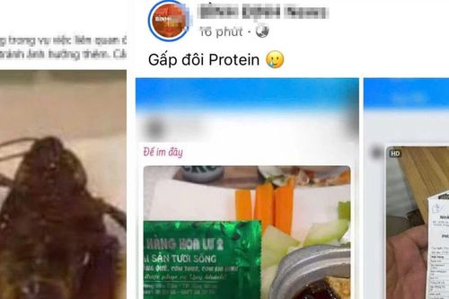 Xử phạt nhà hàng bị tố có gián trong món ăn