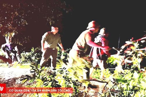Người đàn ông tử vong khi đưa bò về chuồng tránh mưa
