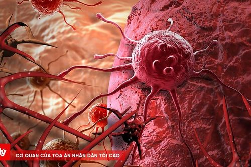 Phát hiện mới trong phương pháp điều trị ung thư