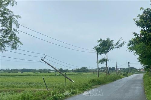 Hàng chục nghìn hộ dân ở Đồng Nai bị cúp điện sau trận dông lốc mạnh