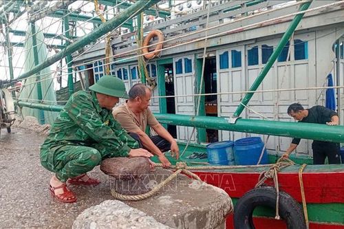 Thanh Hóa: Huy động lực lượng ứng phó với bão số 3