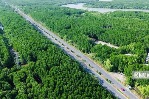 'Lá phổi xanh' Cần Giờ, Côn Đảo: Nơi khởi đầu cho chiến lược giao thông bền vững ở Tp.HCM