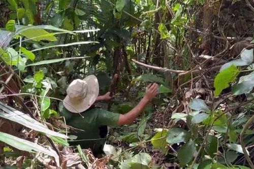 Quảng Ngãi: Phát hiện thi thể người đàn ông sau khi bỏ đi khỏi nhà 2 tháng