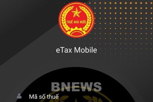 Cục Thuế hỗ trợ người nộp thuế cập nhật thông tin, nộp thuế thuận lợi