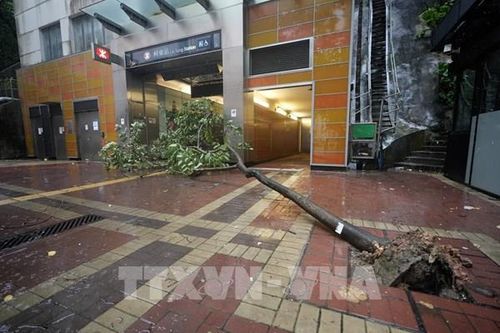 Bão Wipha 'càn quét' Trung Quốc: Giao thông tê liệt, kinh tế thiệt hại nặng