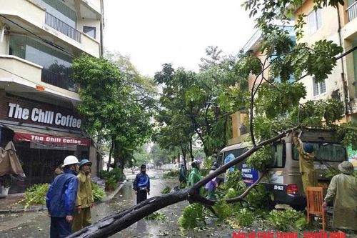 Mưa và gió giật mạnh khiến hàng loạt cây xanh gãy đổ