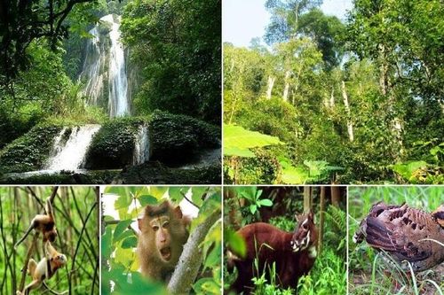 Gần 122 tỷ đồng hỗ trợ bảo tồn đa dạng sinh học Trung Trường Sơn