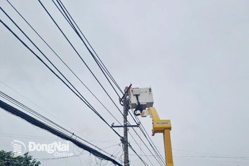 Đồng Nai đang khắc phục hàng loạt sự cố điện xảy ra trong mưa dông do ảnh hưởng bão số 3