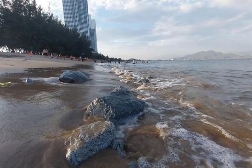 Phường Đông Hải: Xử lý những tảng đá ở bãi biển Bình Sơn - Ninh Chử
