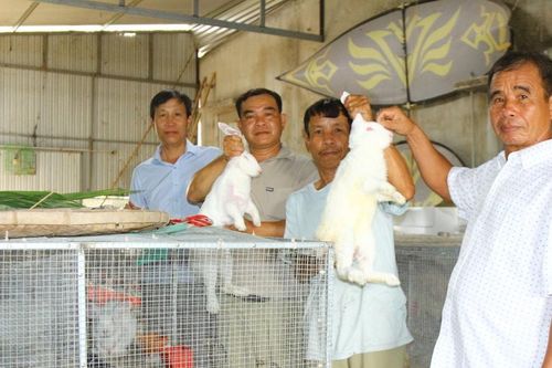 Đồng bào Tày, Nùng ra sức phát triển kinh tế