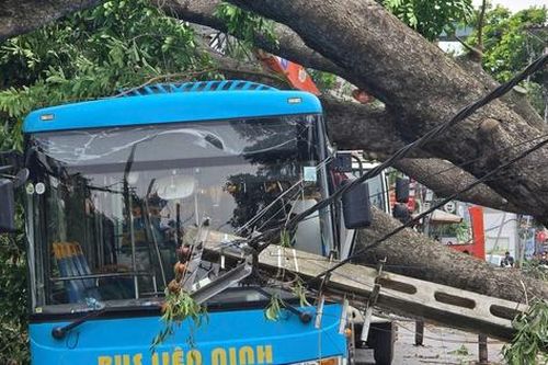 Hà Nội: Khẩn trương khắc phục hậu quả sau giông lốc, giải cứu ô tô, xe buýt mắc kẹt
