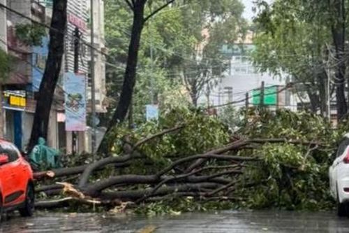 Đồng Nai: Nhiều nhà dân bị tốc mái, cây đổ đầy đường sau mưa dông