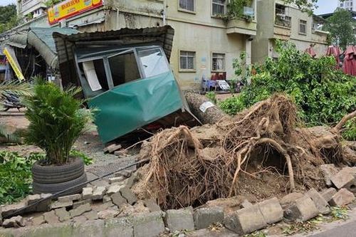 Hà Nội: Khẩn trương thu dọn hơn 940 cây đổ, gãy cành sau cơn dông bất thường