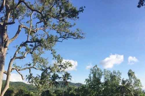 Tái hiện lịch sử sống động của các vùng đất
