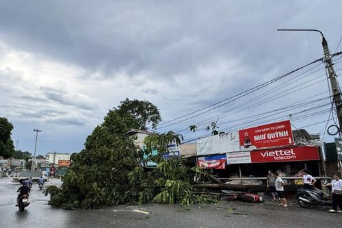 Chủ động triển khai phương án ứng phó, đảm bảo an toàn cho người dân, khách du lịch