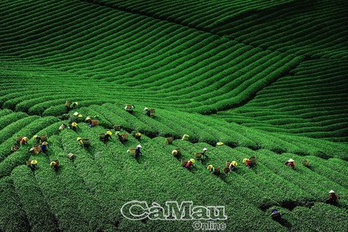Quảng bá hình ảnh quê hương