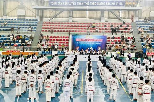 Gần 300 võ sinh thi thăng đẳng Taekwondo năm 2025