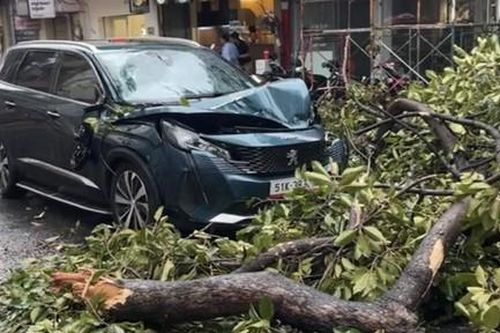 TPHCM: Cây xanh bật gốc, ôtô bẹp dúm, tường rào sập sau cơn dông lốc lớn