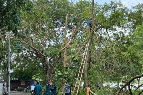 Xã Thanh Trì huy động lực lượng khắc phục hậu quả mưa dông