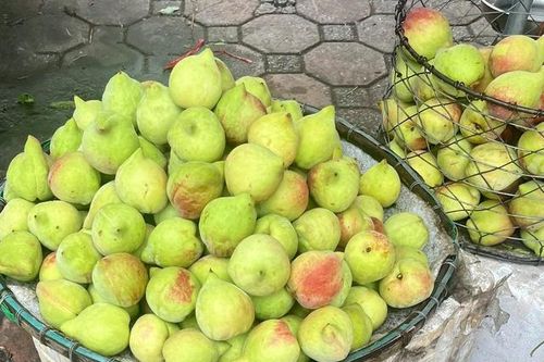 Tiểu thương tiết lộ sự thật về đào mỏ quạ đang được bán ngoài chợ
