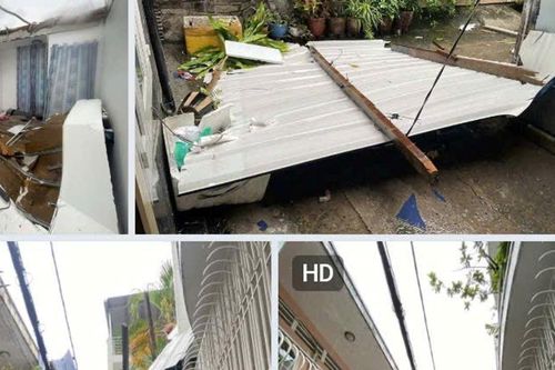 TP Hồ Chí Minh cắt tỉa cây xanh ứng phó ảnh hưởng của bão số 3