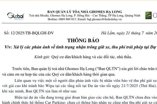 Quảng Ninh: Xác minh thông tin bảo vệ 'hét' giá gửi xe 500.000 đồng/đêm tránh bão