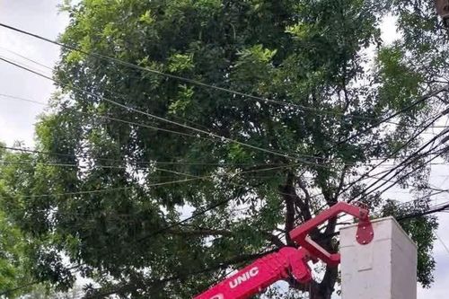 Phường Tùng Thiện cắt tỉa cây xanh để ứng phó với bão số 3