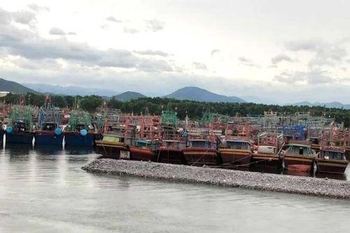 Quảng Trị: Hơn 8.100 tàu cá của ngư dân về neo đậu an toàn