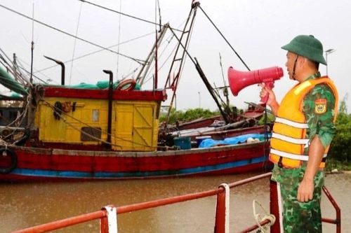 Ninh Bình khẩn trương bảo đảm an toàn cho người dân vùng biển