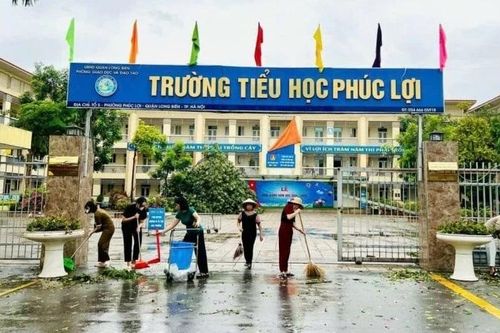 Các trường học ở Hà Nội chủ động ứng phó với bão số 3